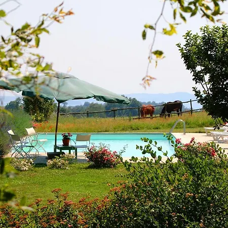 Indipendente Con Giardino E Terrazza Panoramica Privati, In Casale Con Piscina Sovrastante Il Di Bolsena *