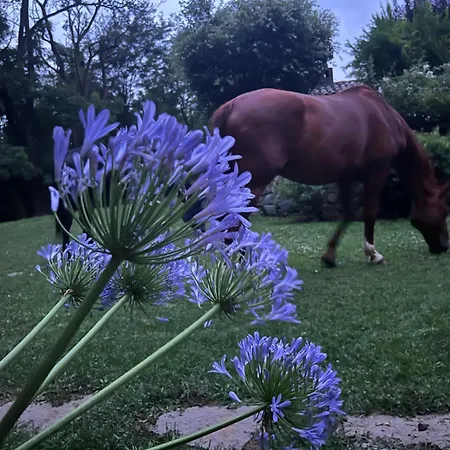 Indipendente Con Giardino E Terrazza Panoramica Privati, In Casale Con Piscina Sovrastante Il Di Bolsena *